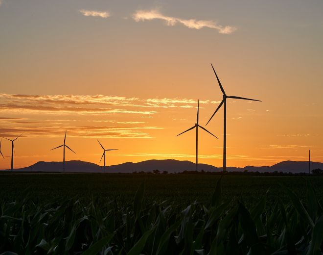 What you need to know to get started with renewable energy