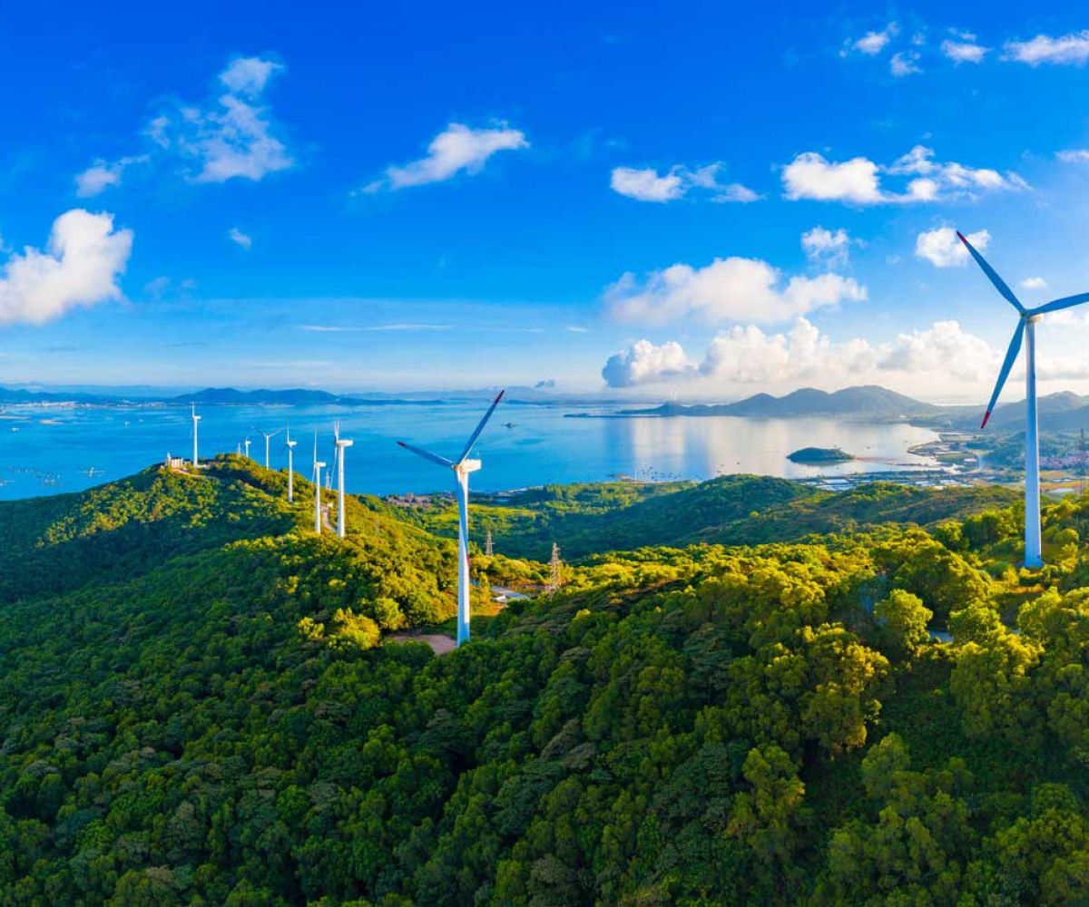 The new rules of renewable energy: Expert insights on cost, risk and regulation