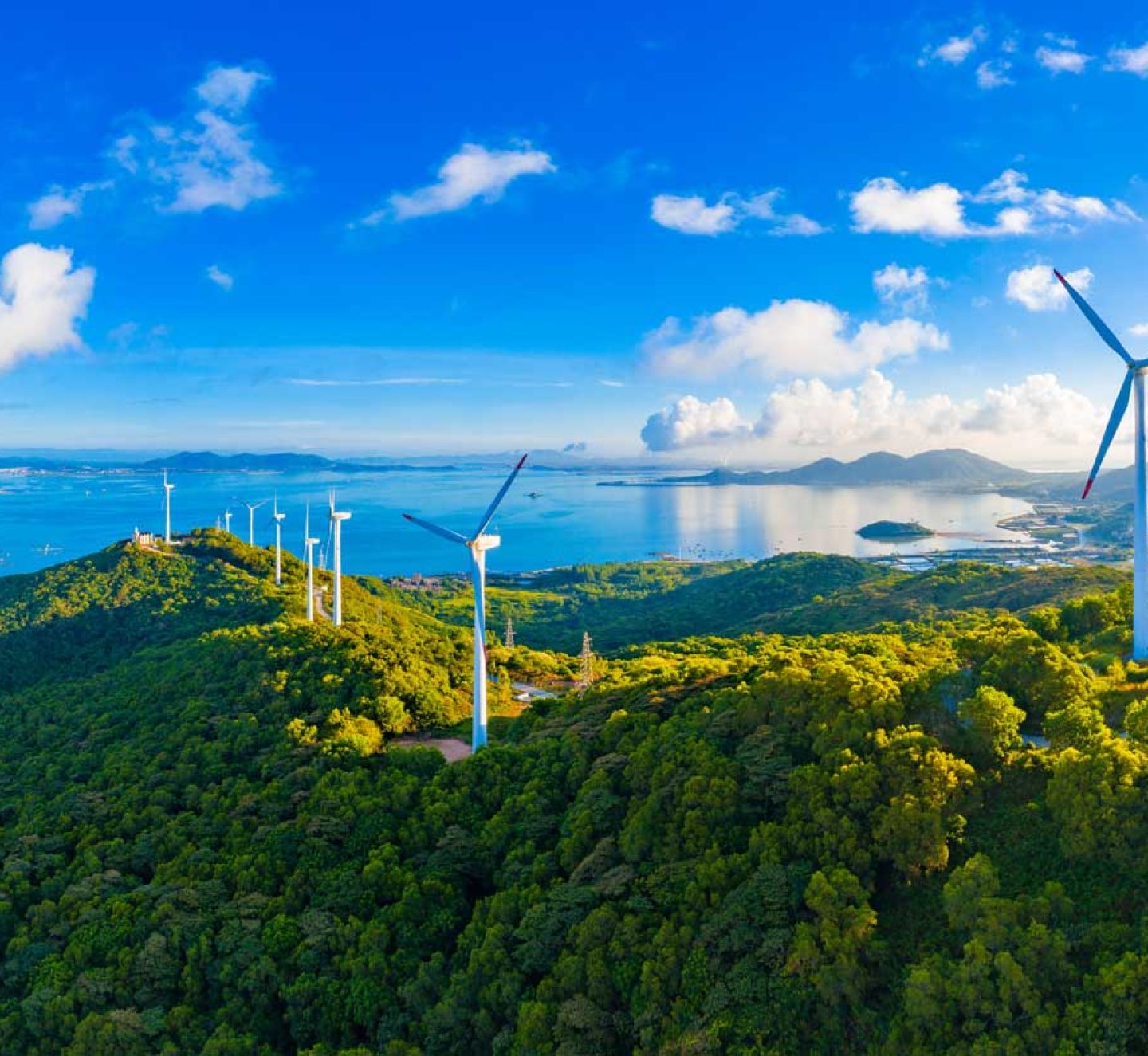 The new rules of renewable energy: Expert insights on cost, risk and regulation