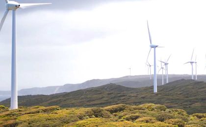 windfarm-australia.jpg